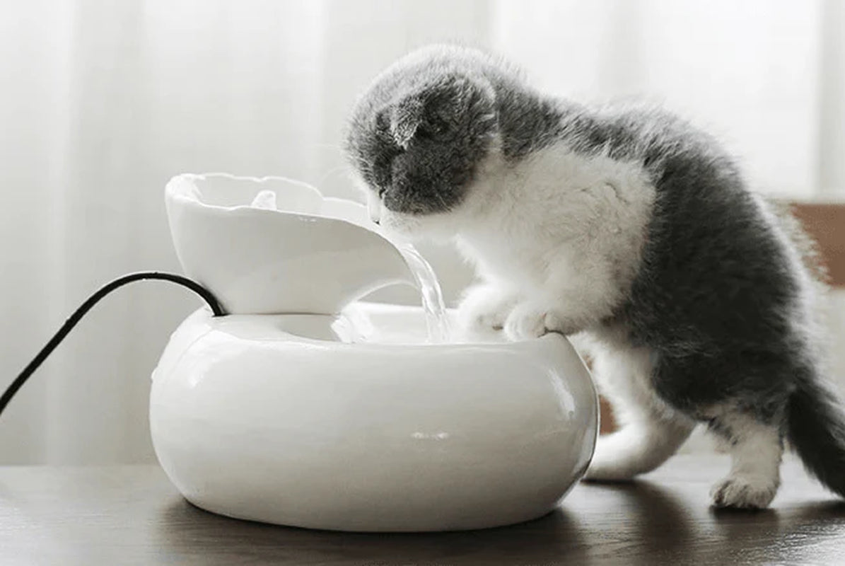 Purrfect flow Automatic Pet Water Fountain