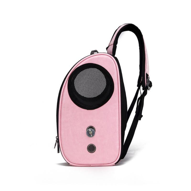 Foldable Airvent Mini Pet Carrier