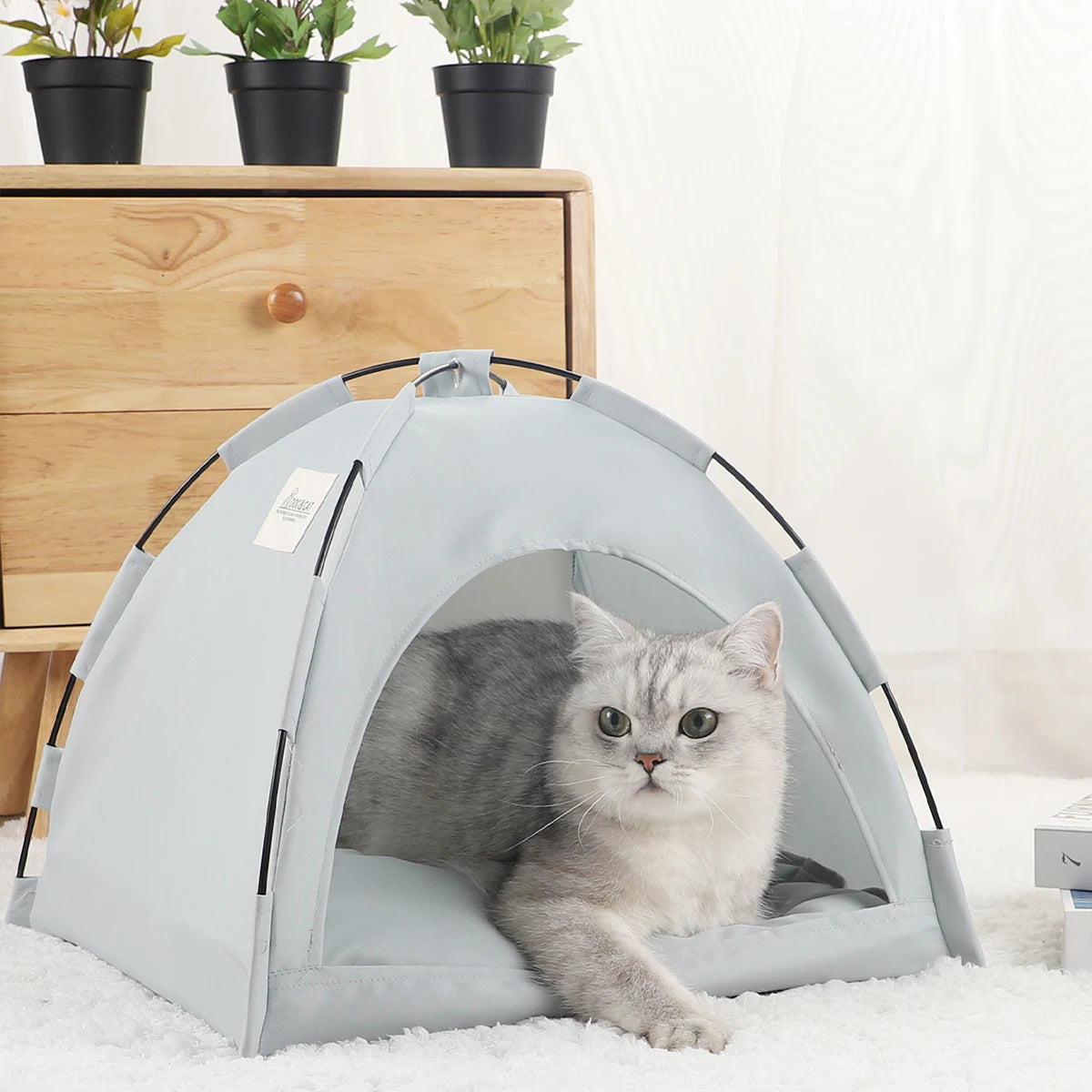 Fashion Cushioned Pet Tent House