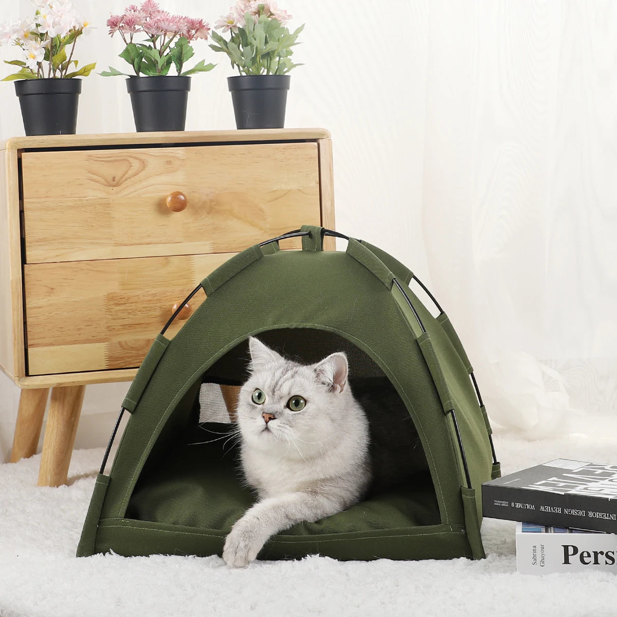 Fashion Cushioned Pet Tent House