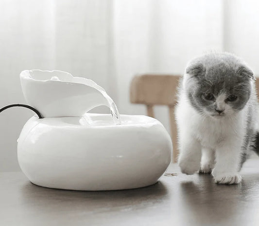 Purrfect flow Automatic Pet Water Fountain