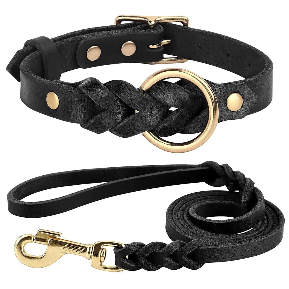 Luxury Leather Dog Collar & Leash Set