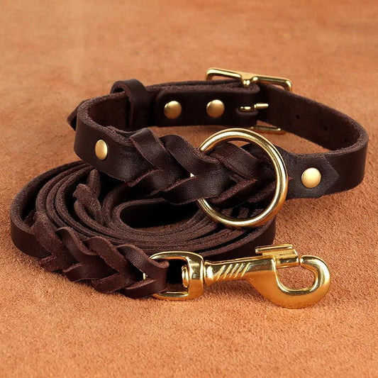 Luxury Leather Dog Collar & Leash Set