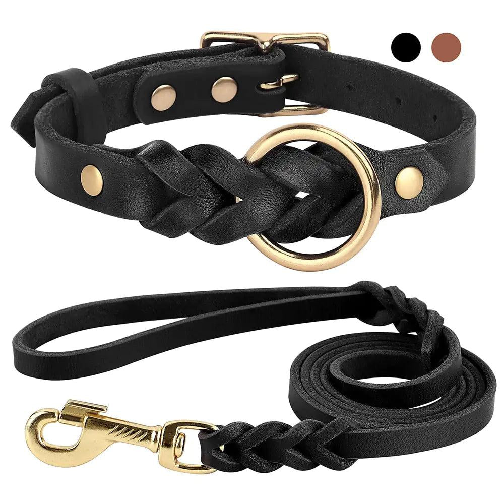 Luxury Leather Dog Collar & Leash Set