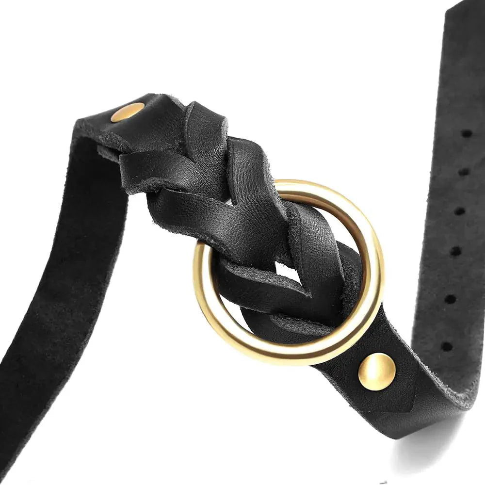 Luxury Leather Dog Collar & Leash Set